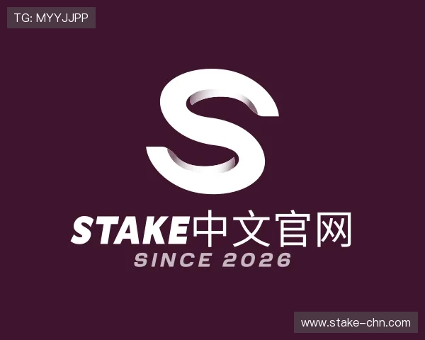 探究stake中文官网
